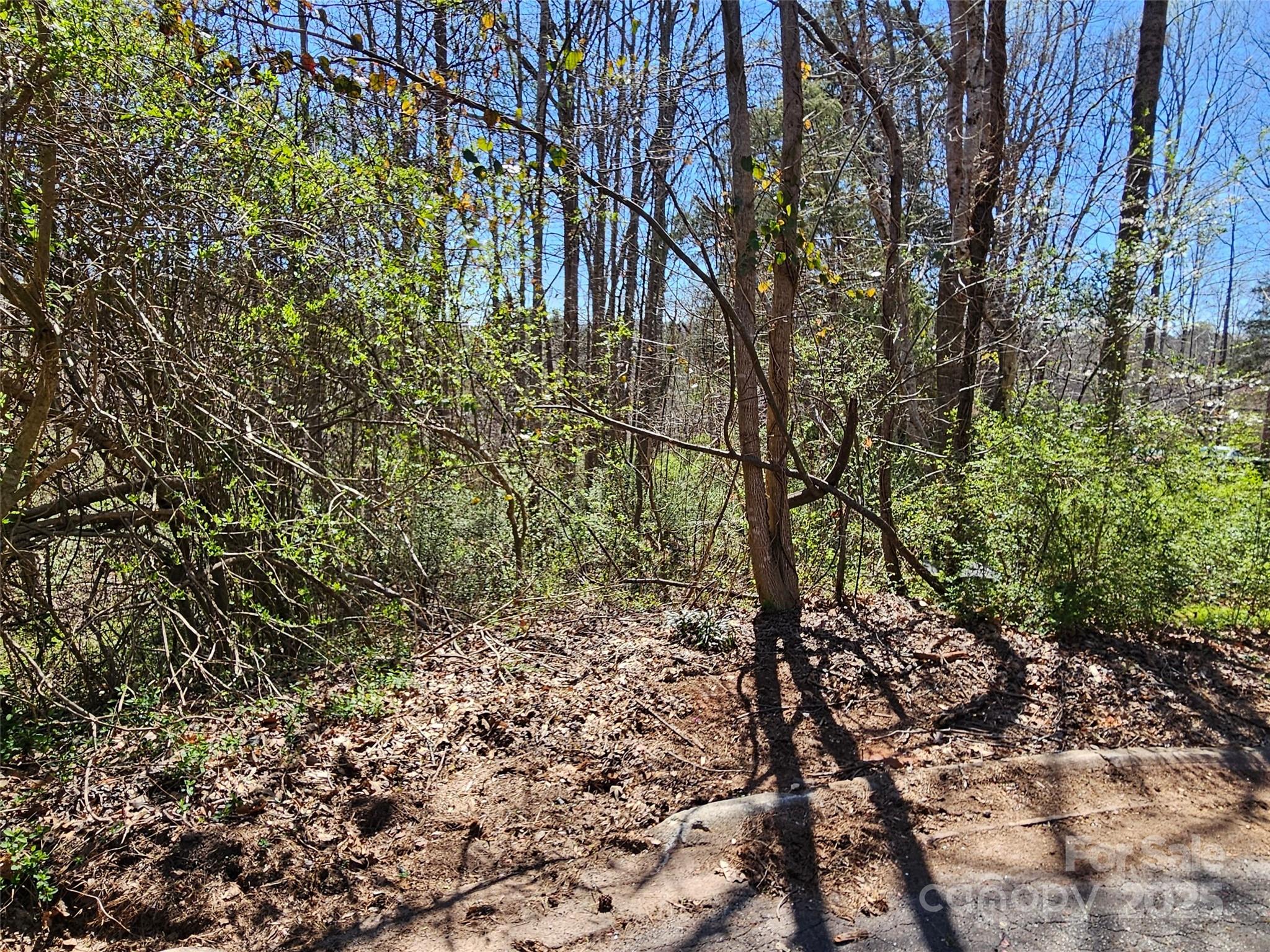These two exceptional lots in the Rutherford Towne subdivision offer unparalleled opportunities for those seeking upscale living close to downtown Rutherfordton, NC. 2.5 miles to local hospital, 10 miles to Tryon International, 25 miles to Lake Lure. With their idyllic settings, and local amenities, these lots represent a wonderful chance for building your home in the middle of these lots and enjoy country living close to all WNC has to offer. Call for your private showing.