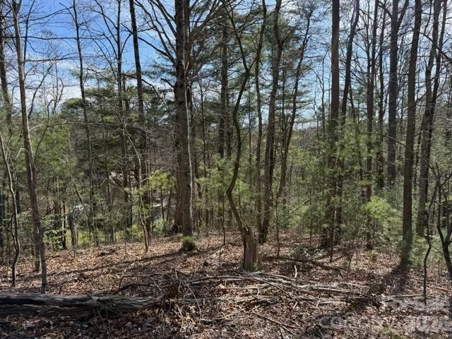 0.72 acre lot in convenient Riceville valley location.  Located in Riceville Forest.  Ideal for a spec home or custom build.  Water meter on property and access to MSD sewer service via recorded easement. Lot has a nice nose ridge for an easy build spot.  Rare, southern orientation.