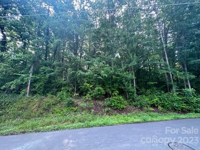 Beautiful lot in a great community! Don't miss out on opportunity to purchase a lot in the Shannon Acres subdivision. Build your dream home!