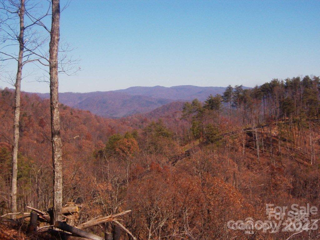 Yellowtop Mountain Estates - Land