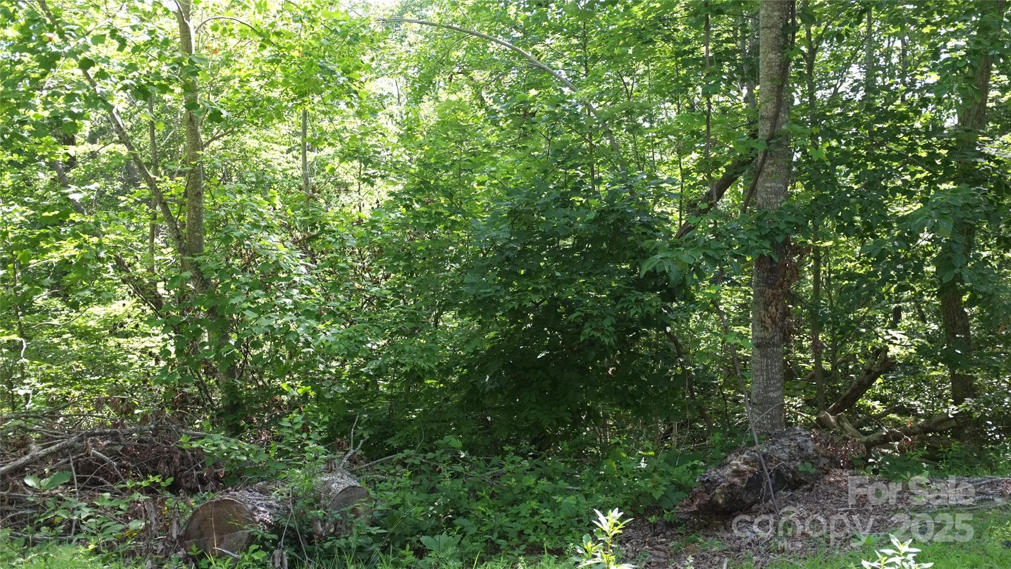 White Oak Mountain - Land