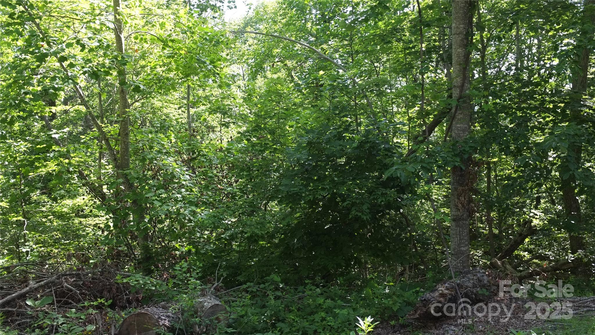 White Oak Mountain - Land