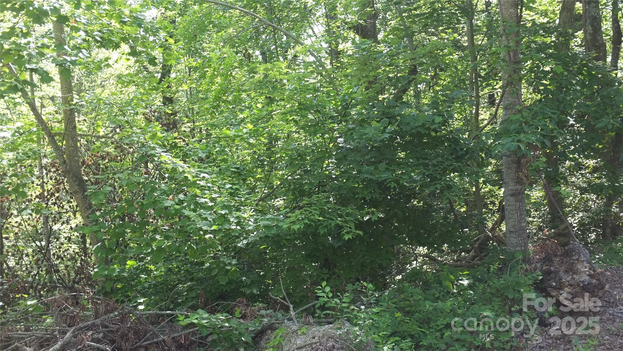White Oak Mountain - Land