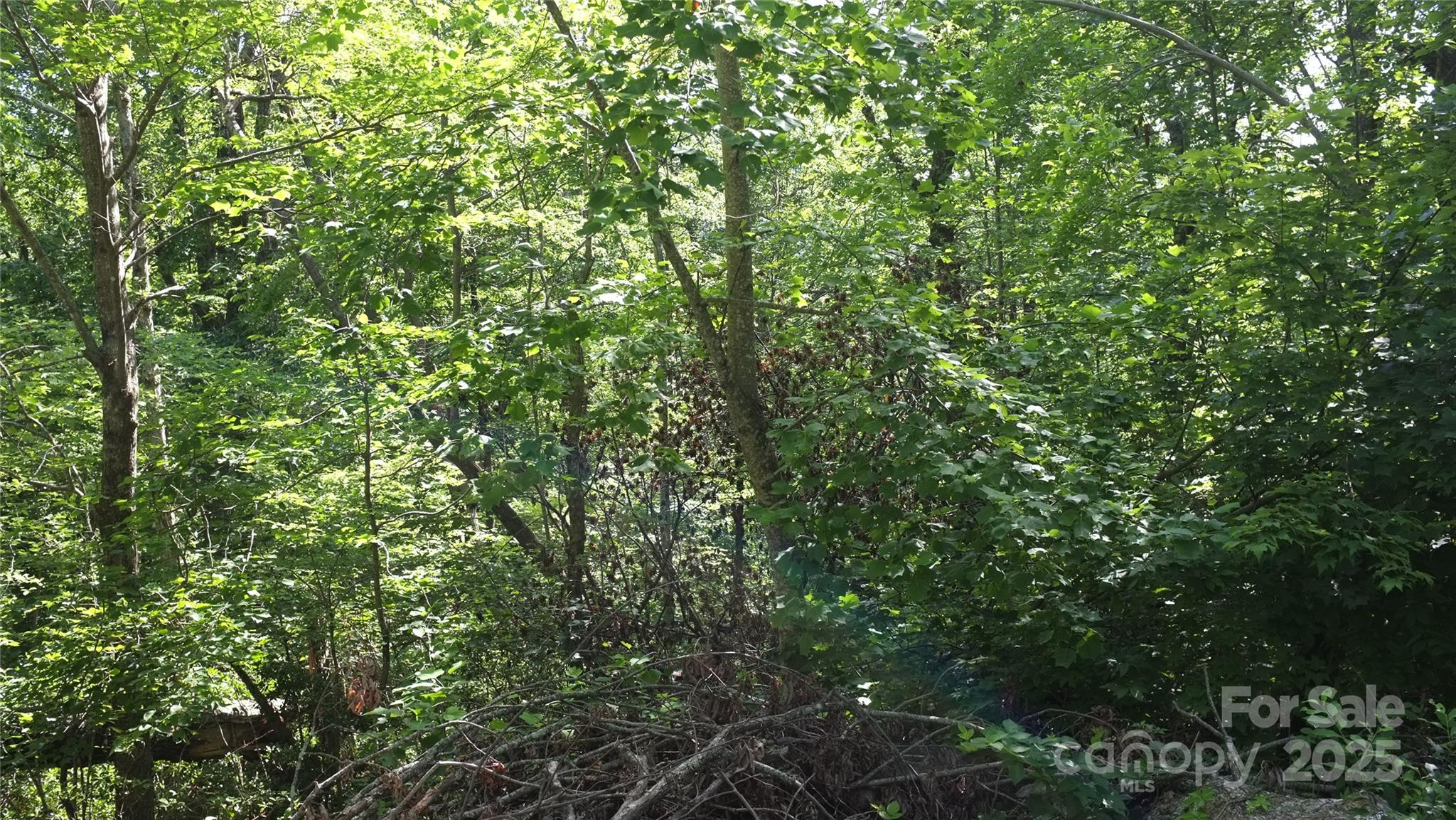 White Oak Mountain - Land
