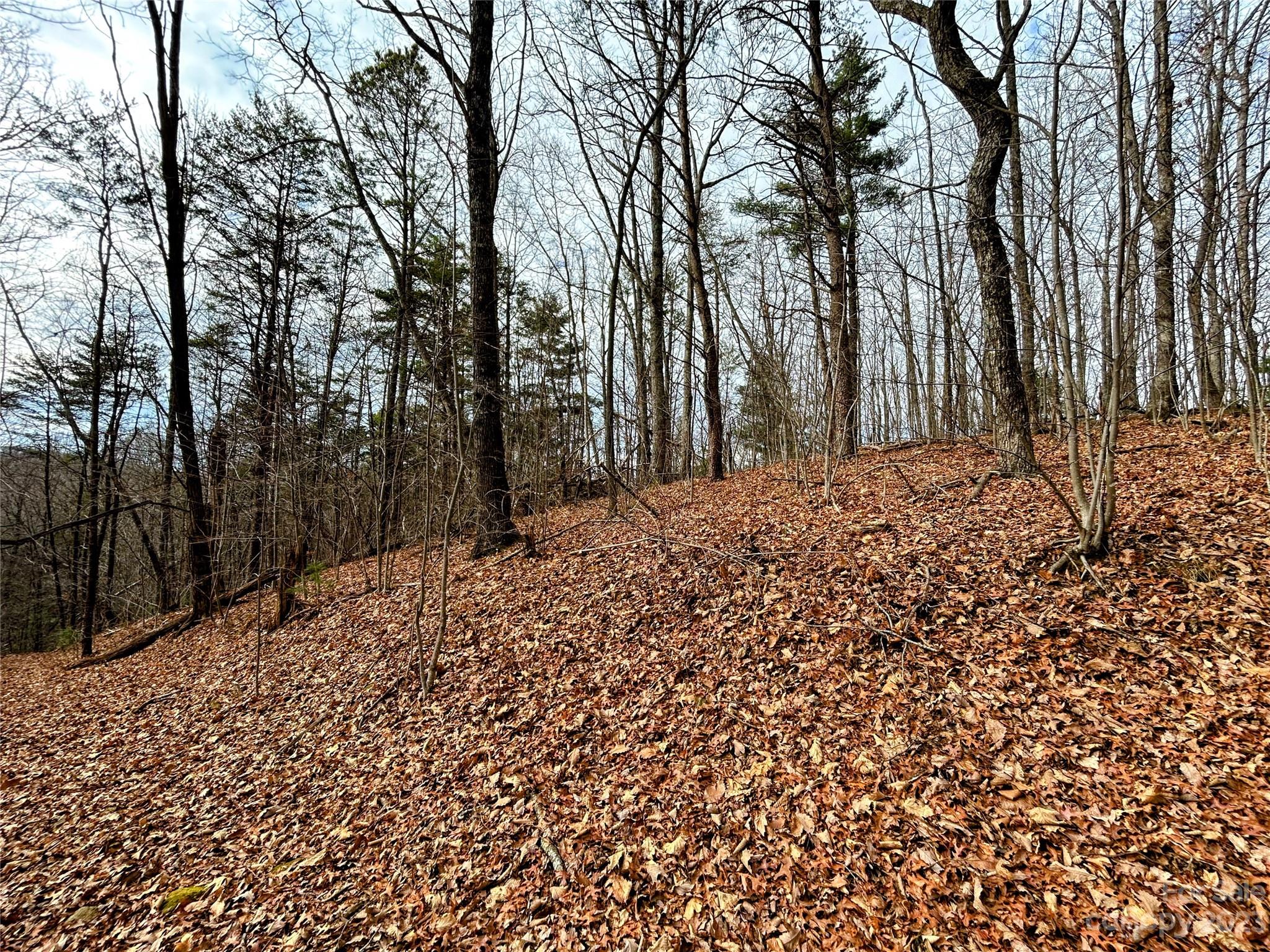 Little Warrior Mtn Estates - Land