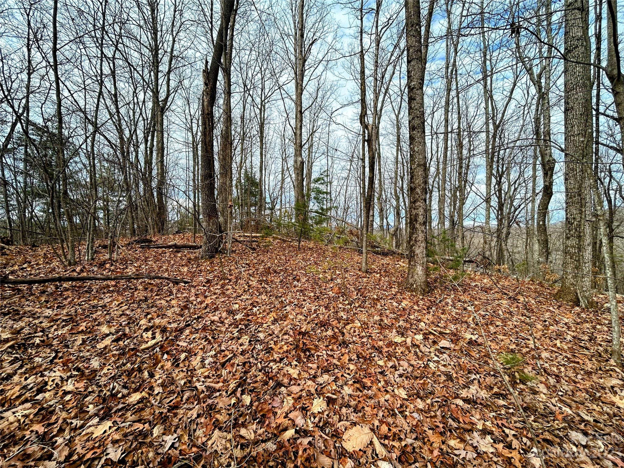 **Back on market at no fault to the seller.  Lot was appraised and nearly to closing table, but buyer had some personal situations that prevented closing.  Come take a 2nd look!**  Welcome to Little Warrior Mountain Estates, where you will find generously sized lots, in a the tranquil setting you're looking for, with prices sure to please.  Lots start in the $30's and each lot is priced with great value for the discerning buyer.  Lot 12 has roughed in access from the road to a phenomenal potential build site.  Less than 5 miles to downtown Saluda and roughly 15 miles back to downtown Hendersonville, this development provides all the peace and quiet for building that mountain retreat, yet possesses easy access to all the charms of Main St in the mountains.
