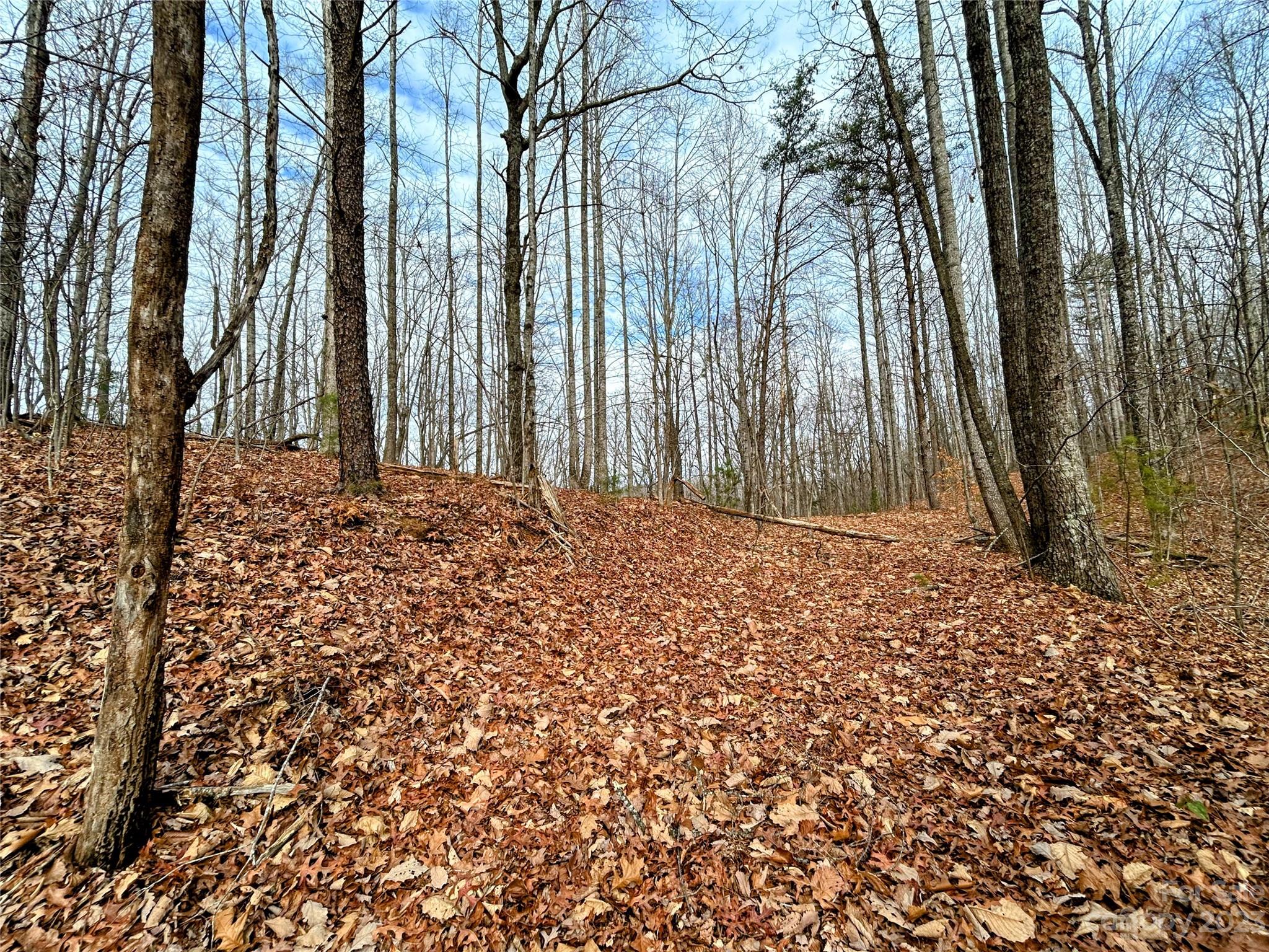 Little Warrior Mtn Estates - Land