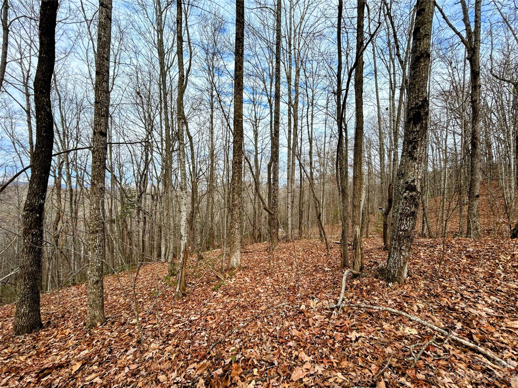 Little Warrior Mtn Estates - Land