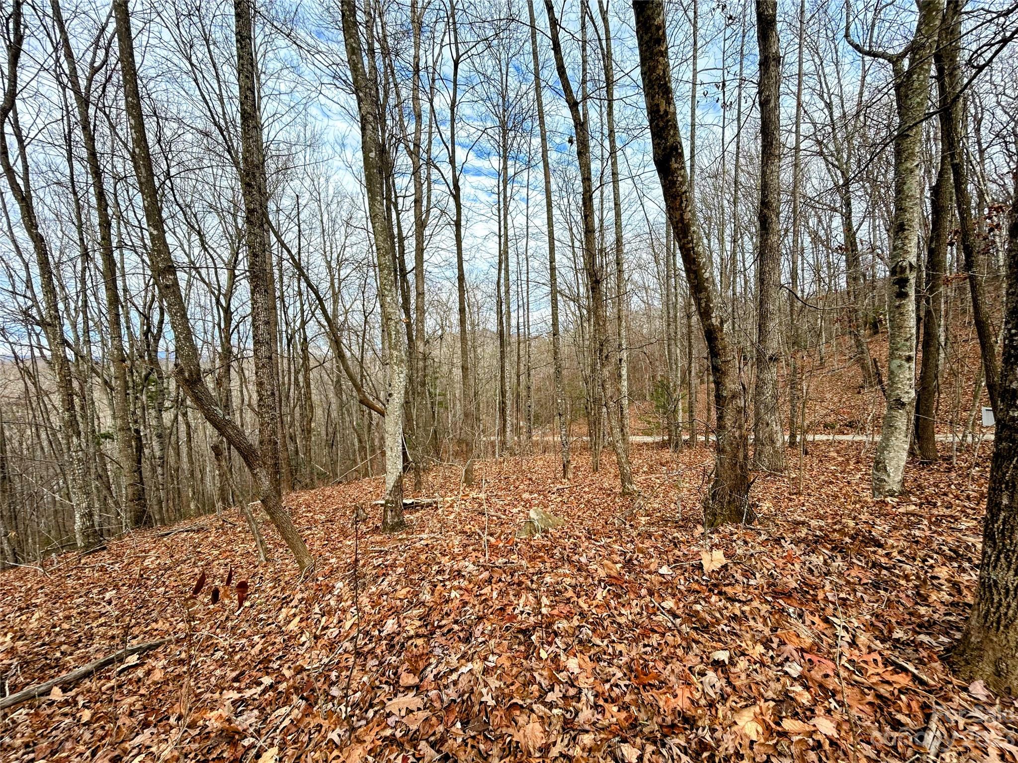 Little Warrior Mtn Estates - Land