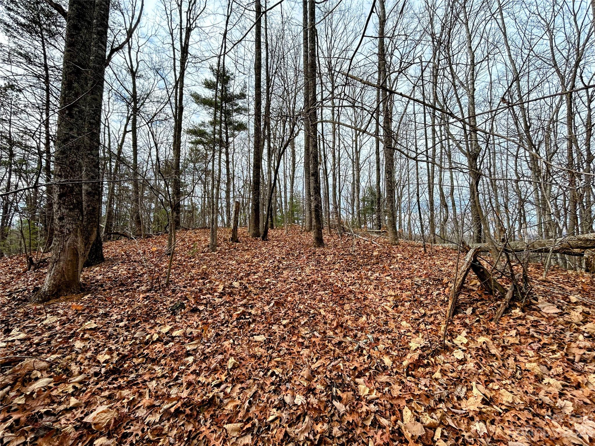 Little Warrior Mtn Estates - Land