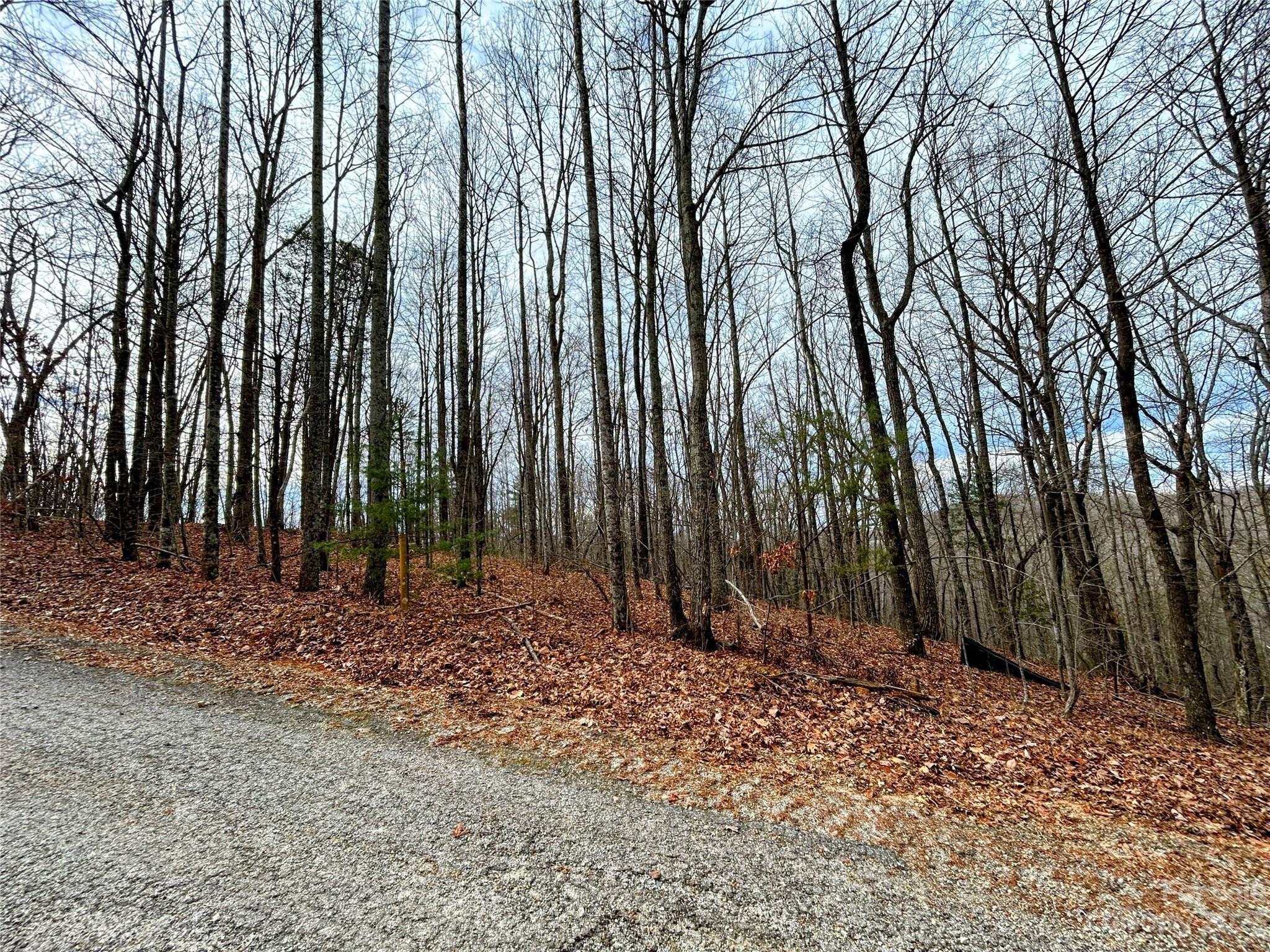 Little Warrior Mtn Estates - Land