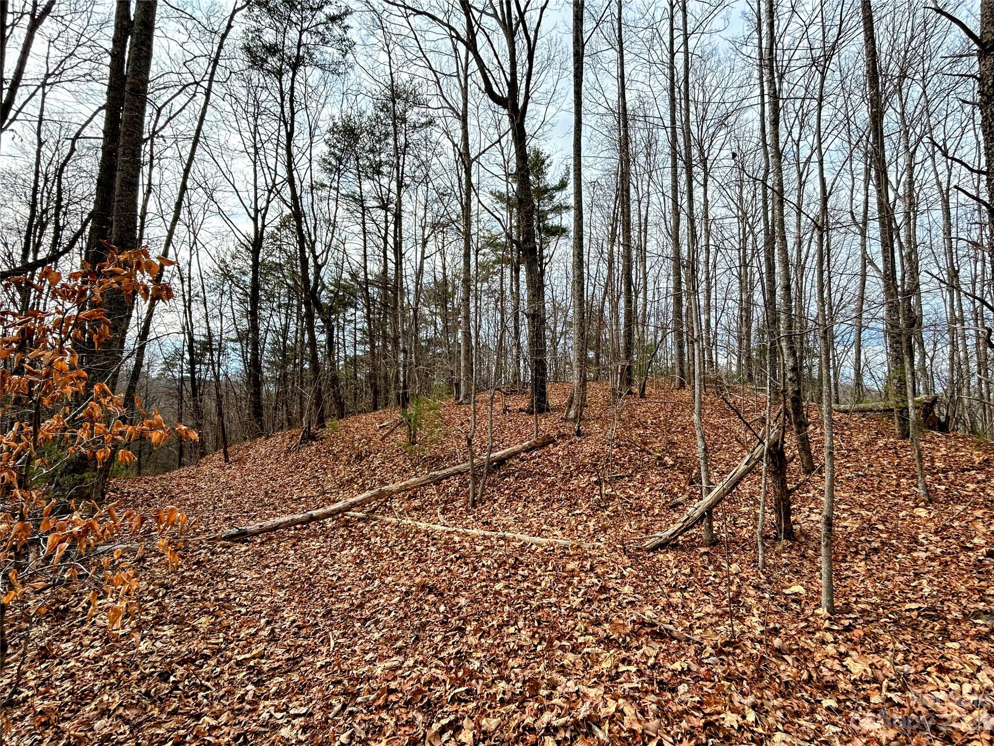 Little Warrior Mtn Estates - Land