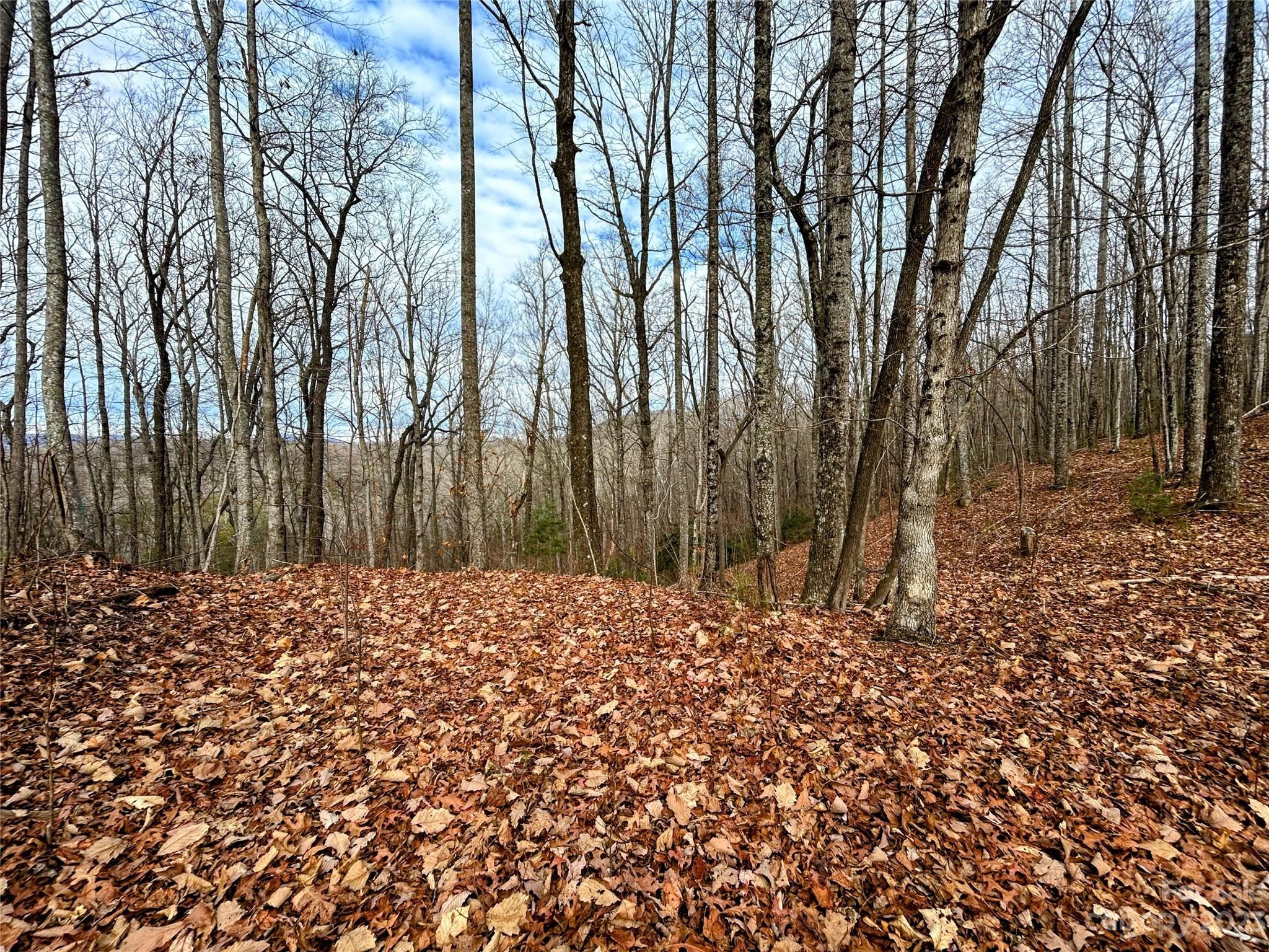 Little Warrior Mtn Estates - Land