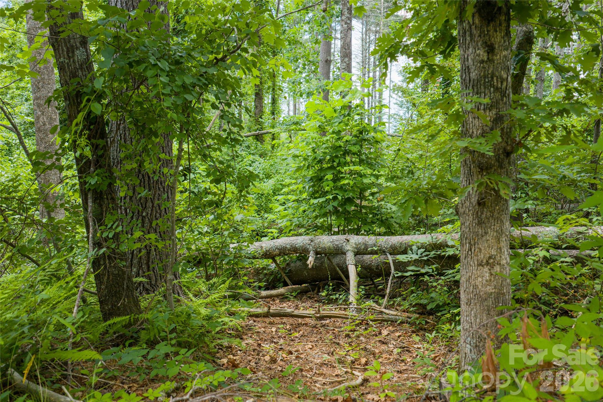 Coventry Woods - Land