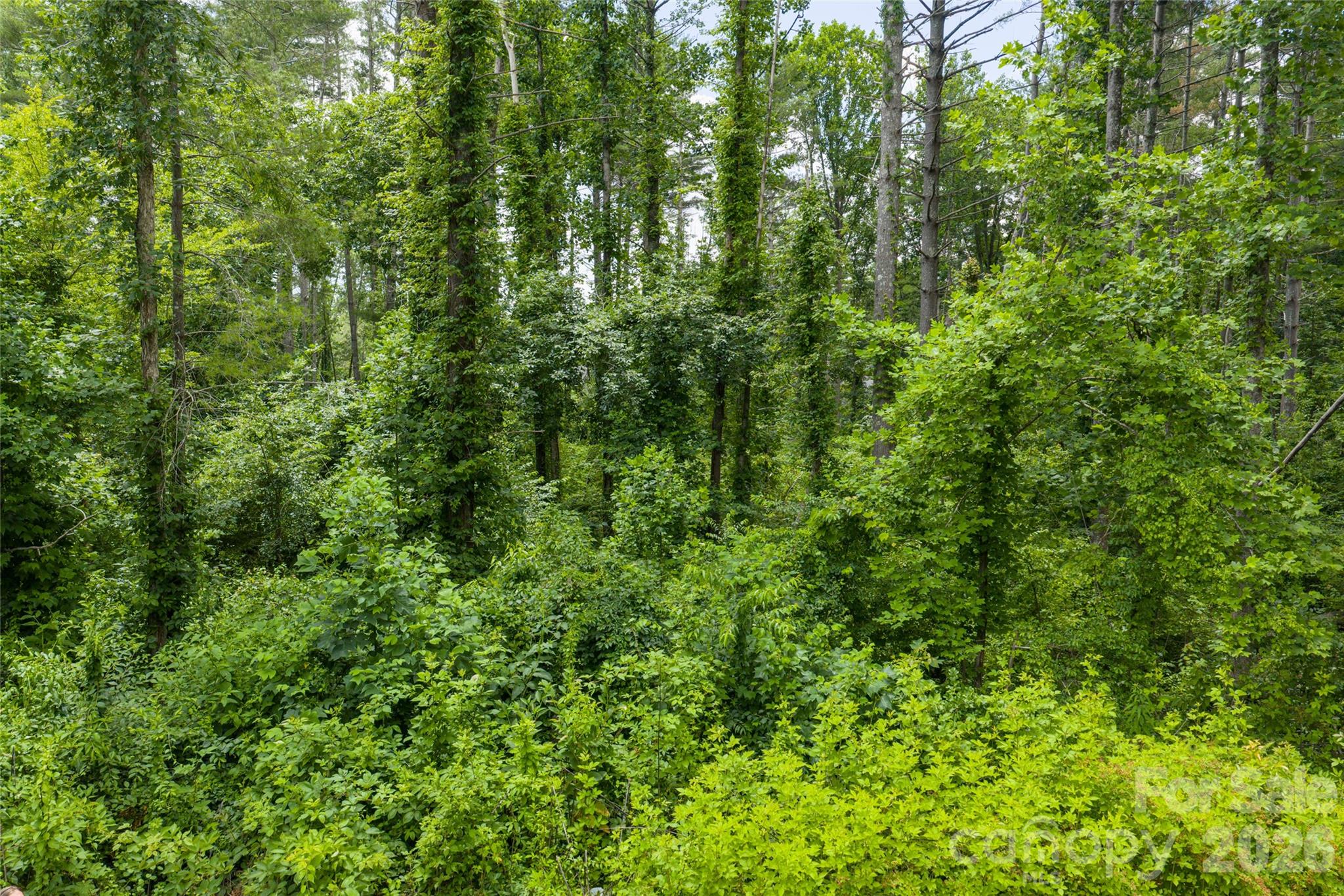 Coventry Woods - Land