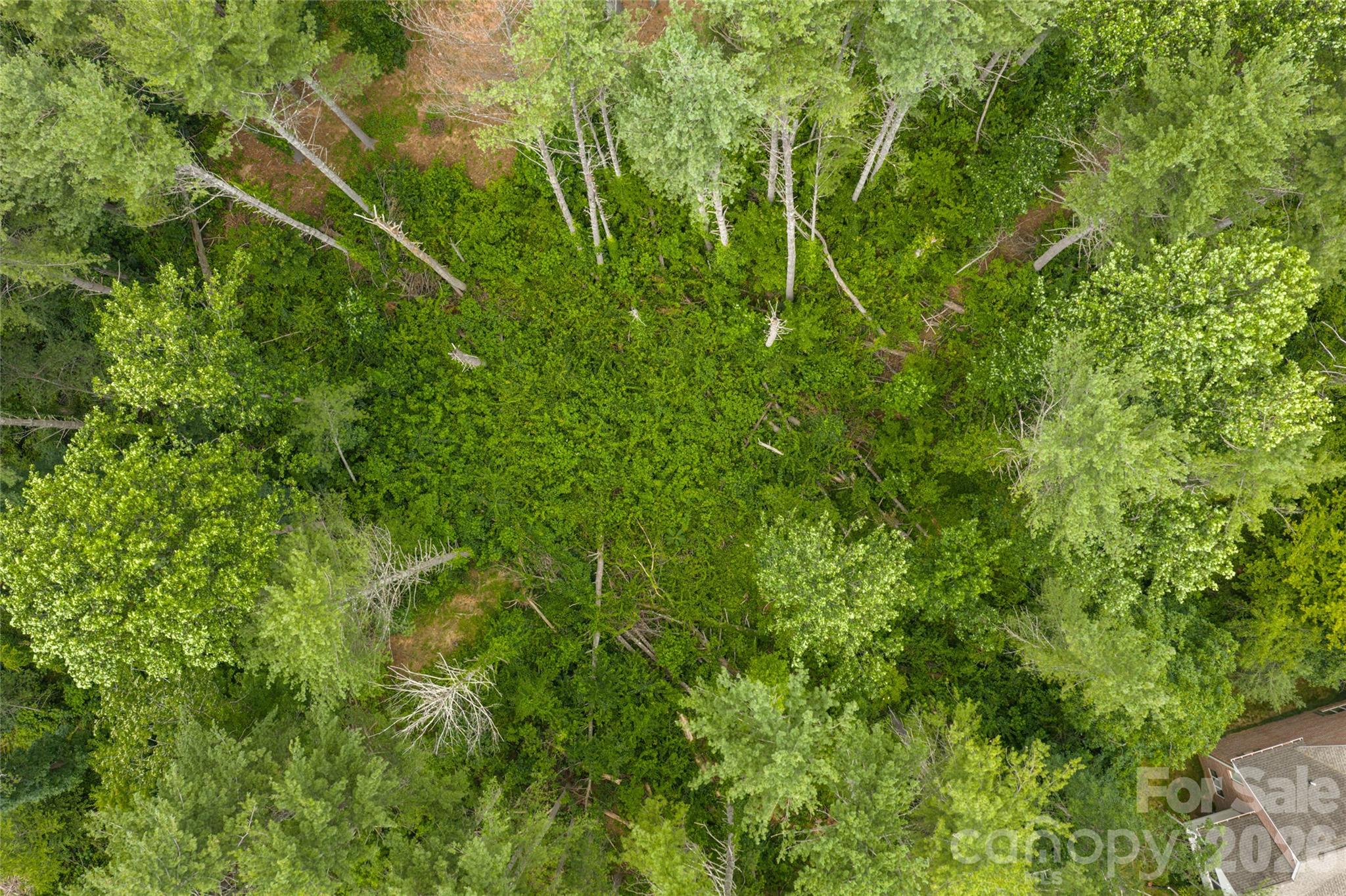 Coventry Woods - Land