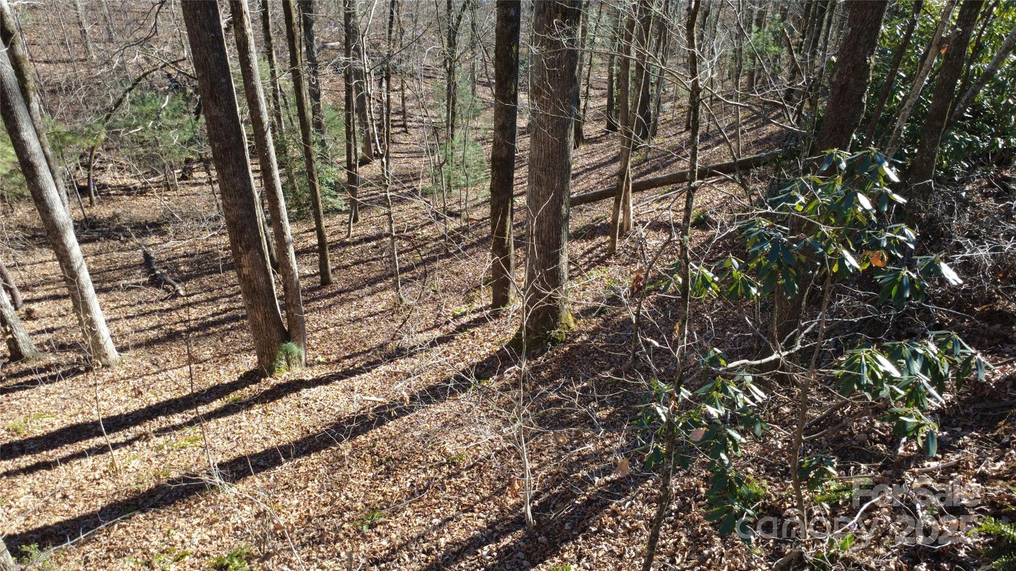 Big Hill - Land