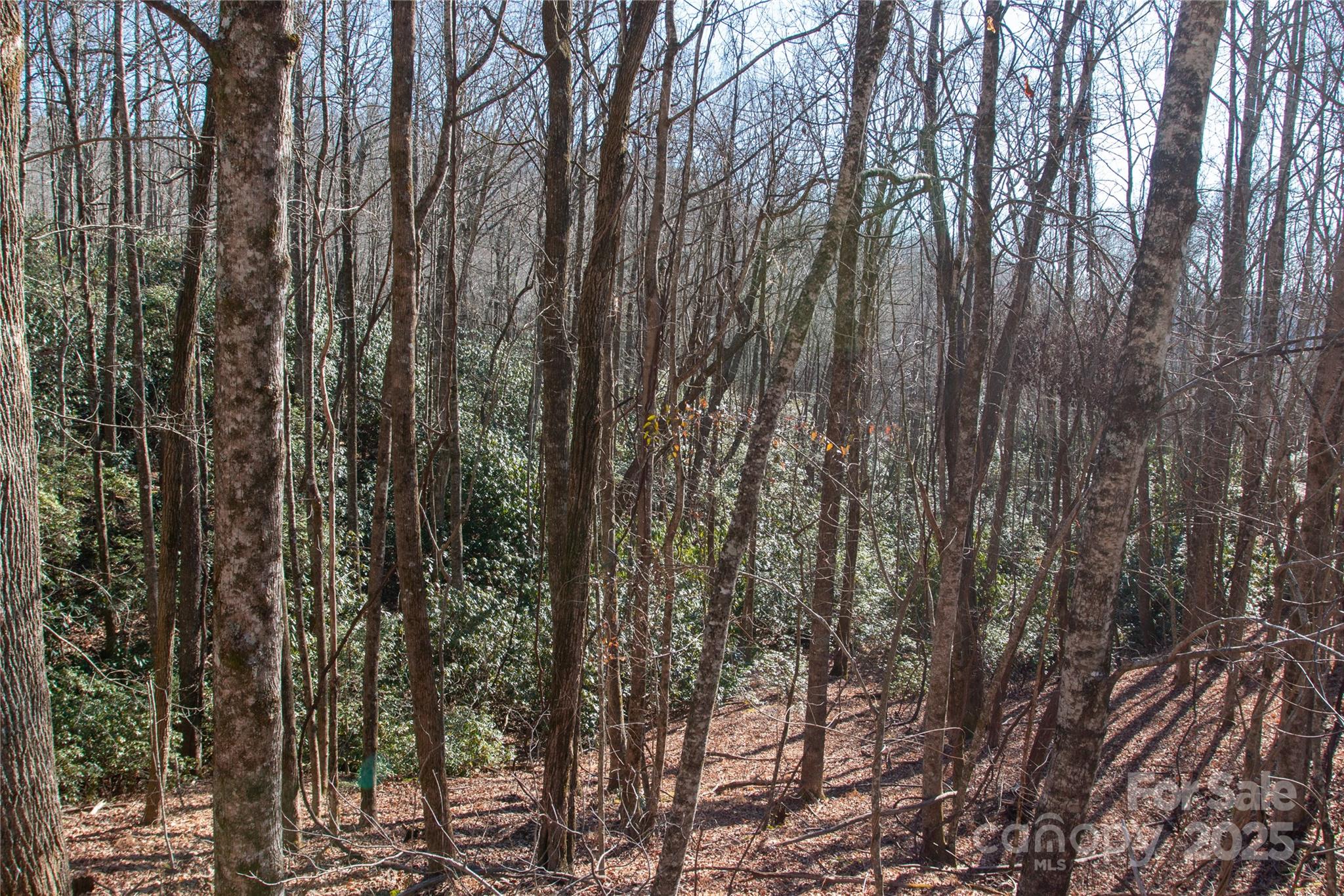 Big Hill - Land