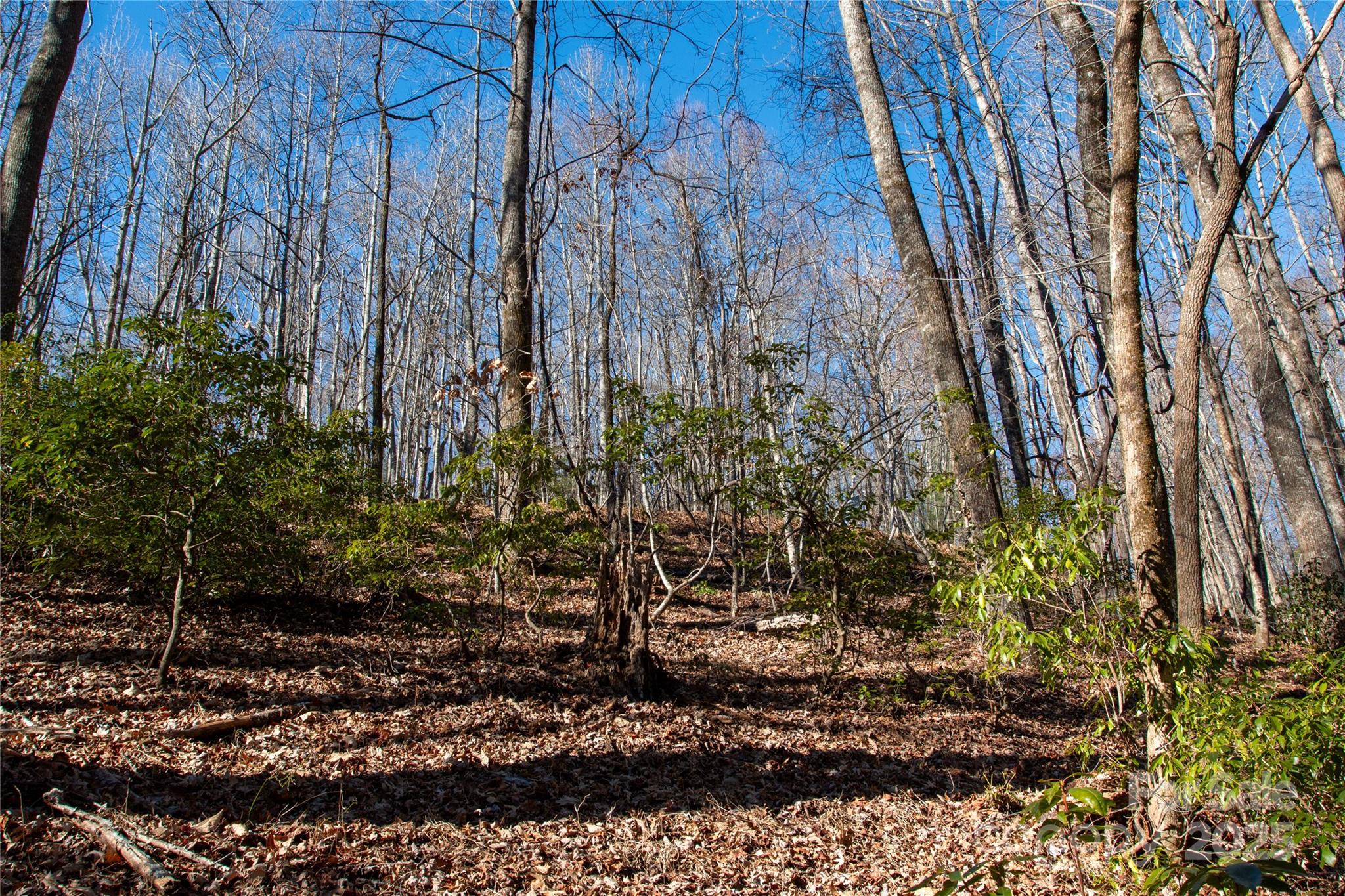 Big Hill - Land