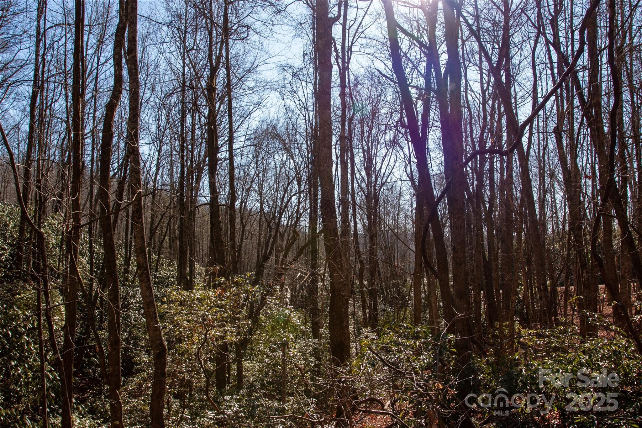 Big Hill - Land