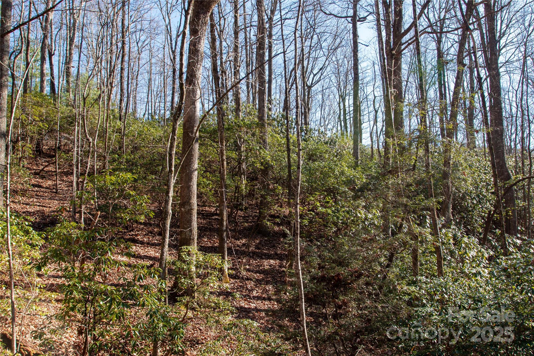 Big Hill - Land