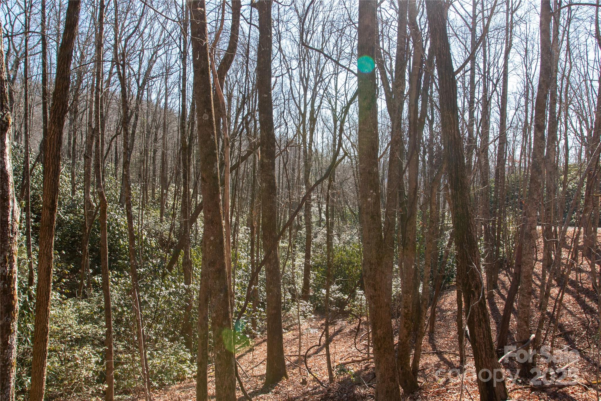 Big Hill - Land