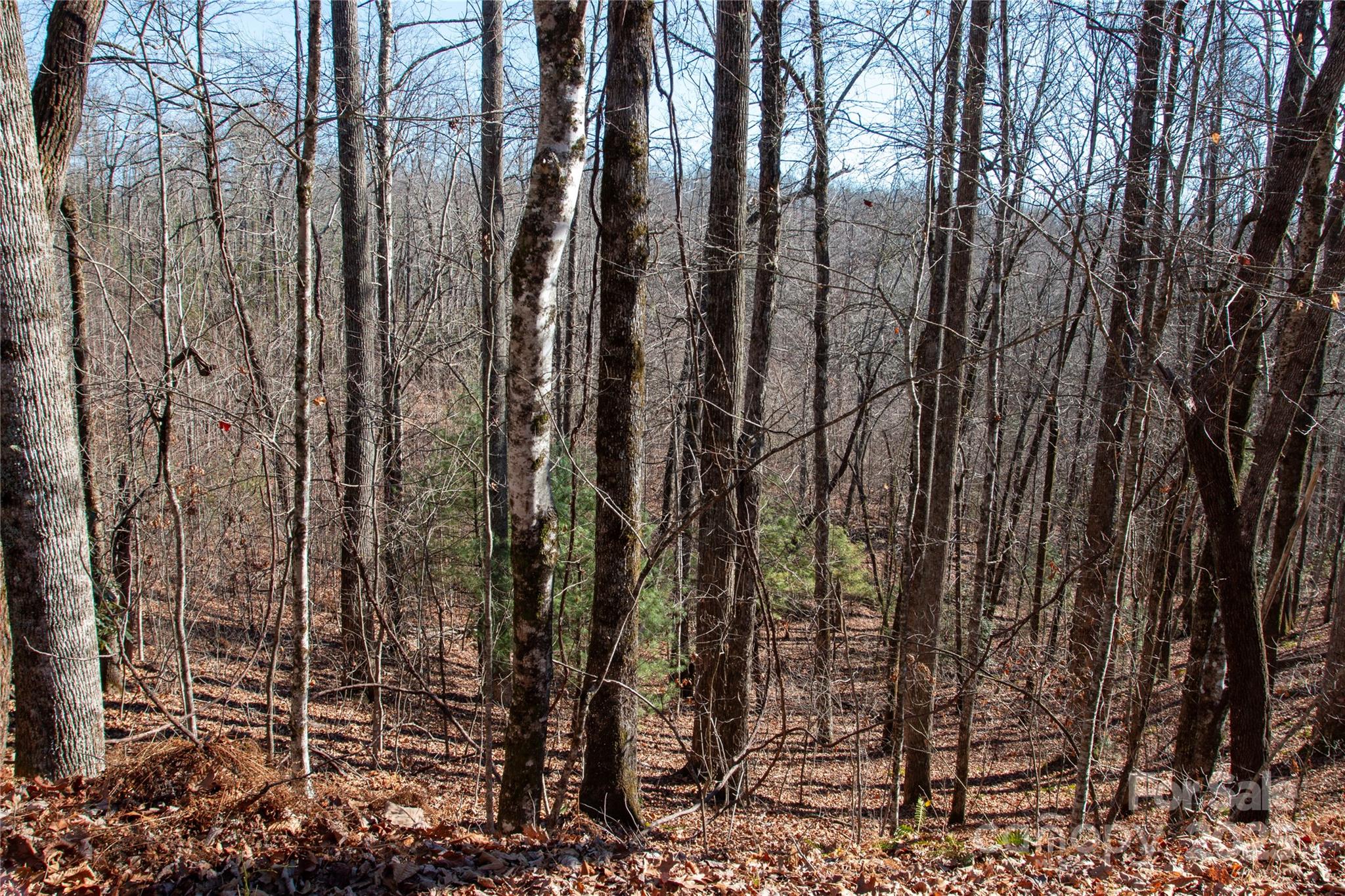 Big Hill - Land