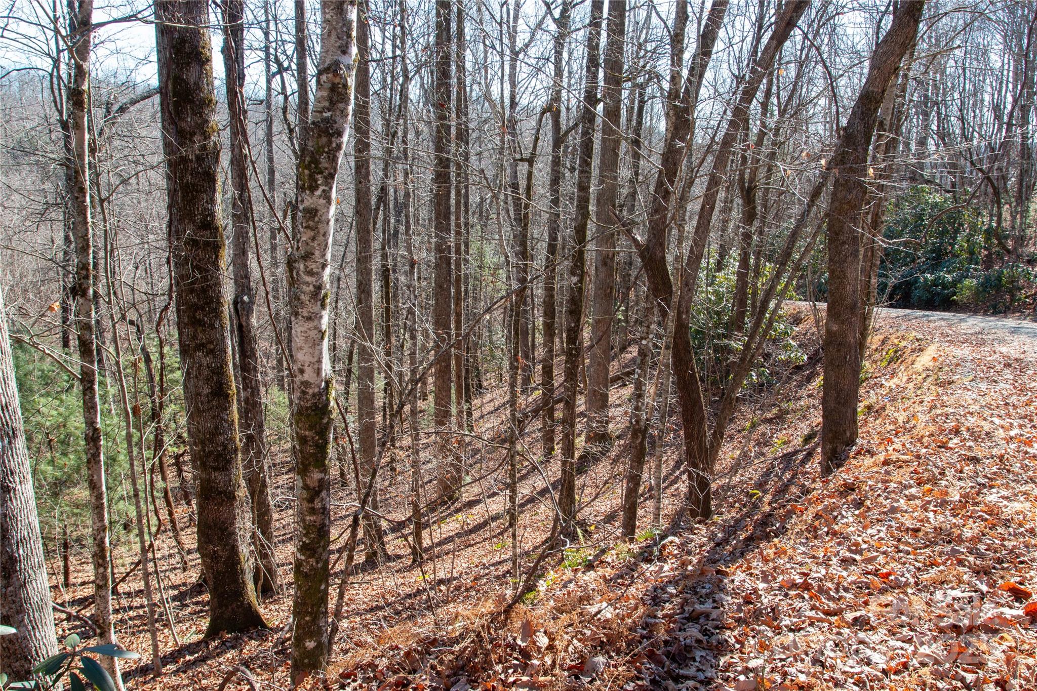 Big Hill - Land