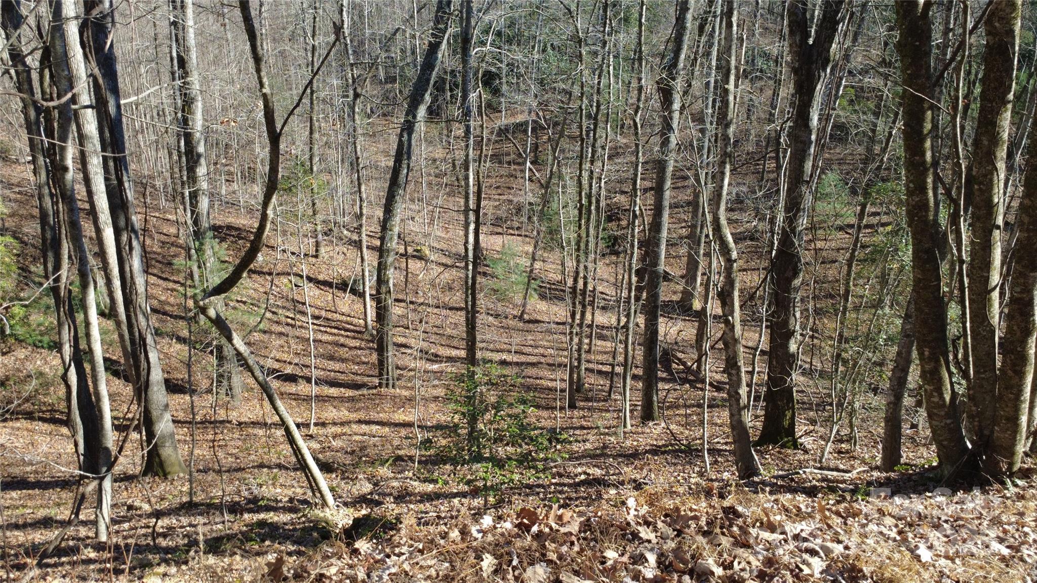 Big Hill - Land