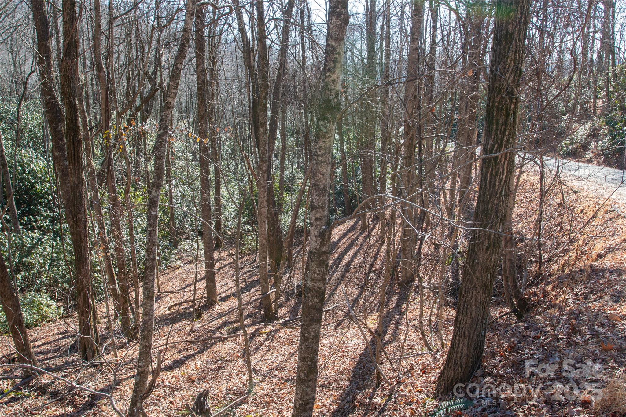 Big Hill - Land
