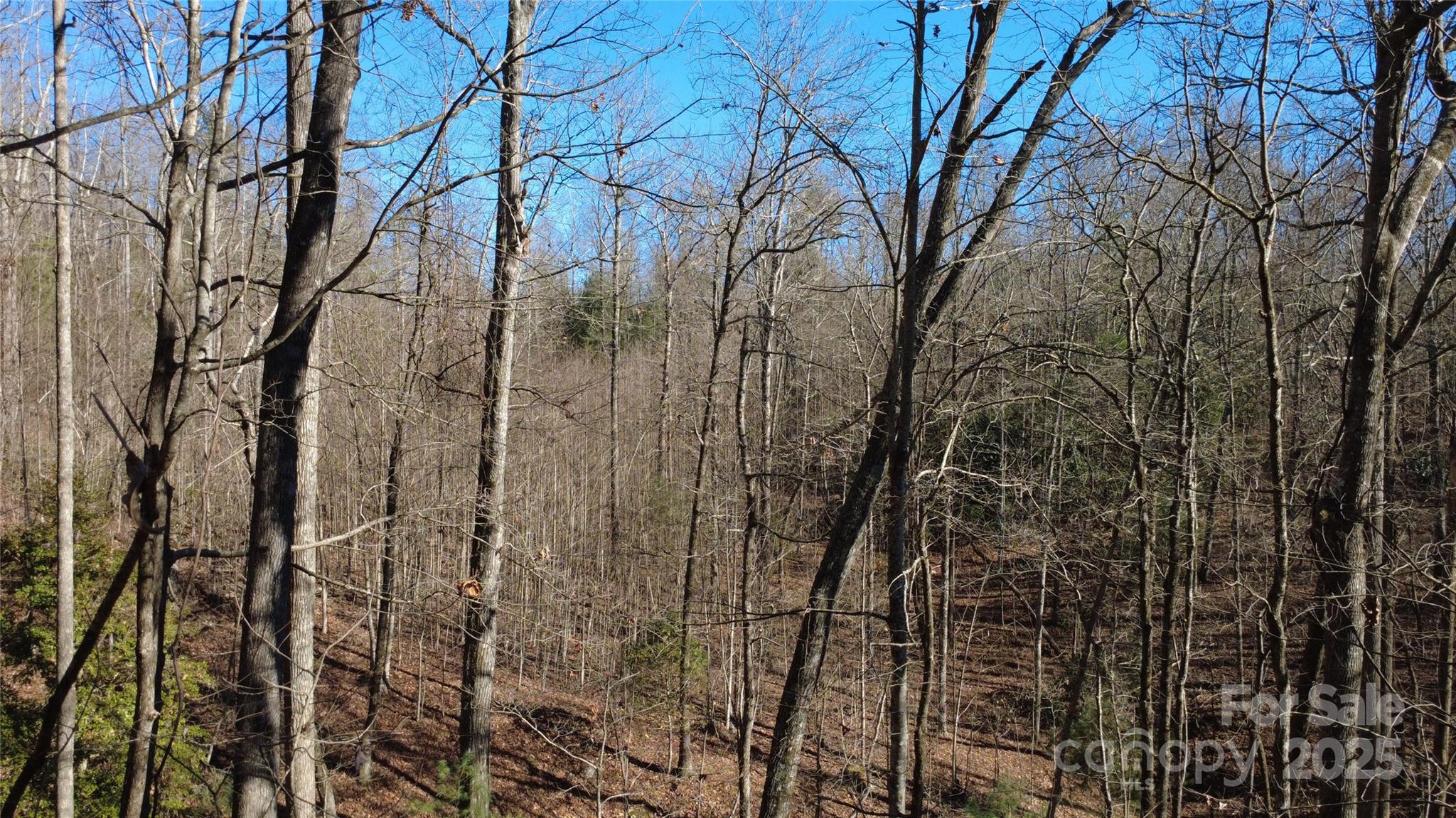 Big Hill - Land