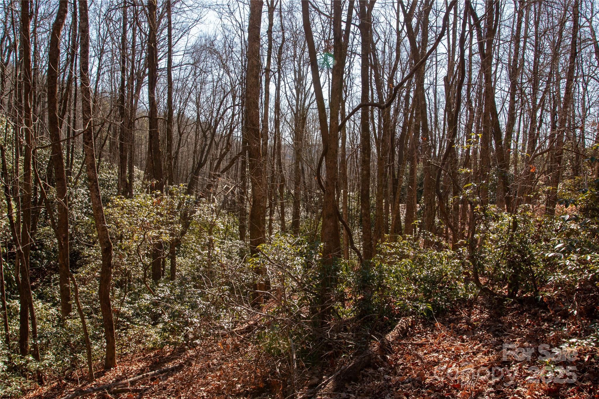 Big Hill - Land