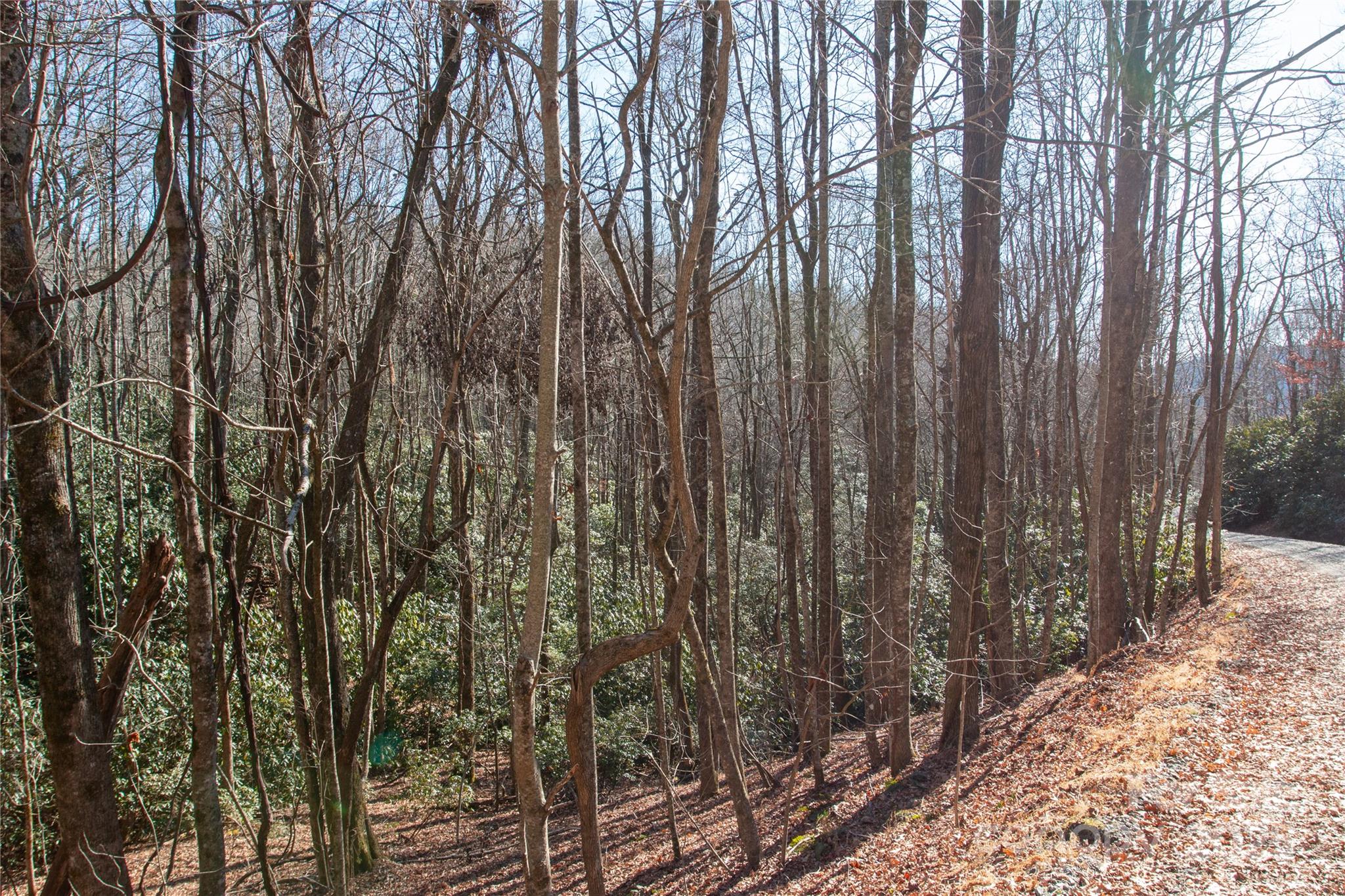 Big Hill - Land