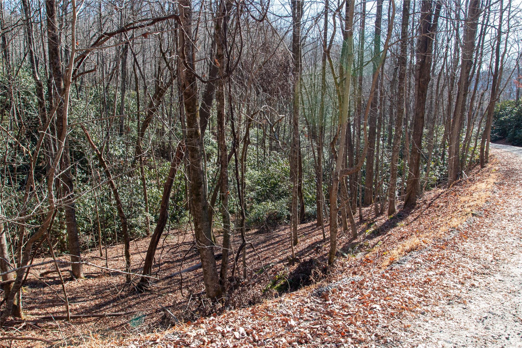 Big Hill - Land