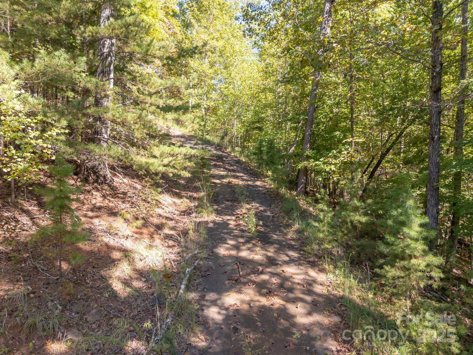 Mountain Park at Lake Adger - Land