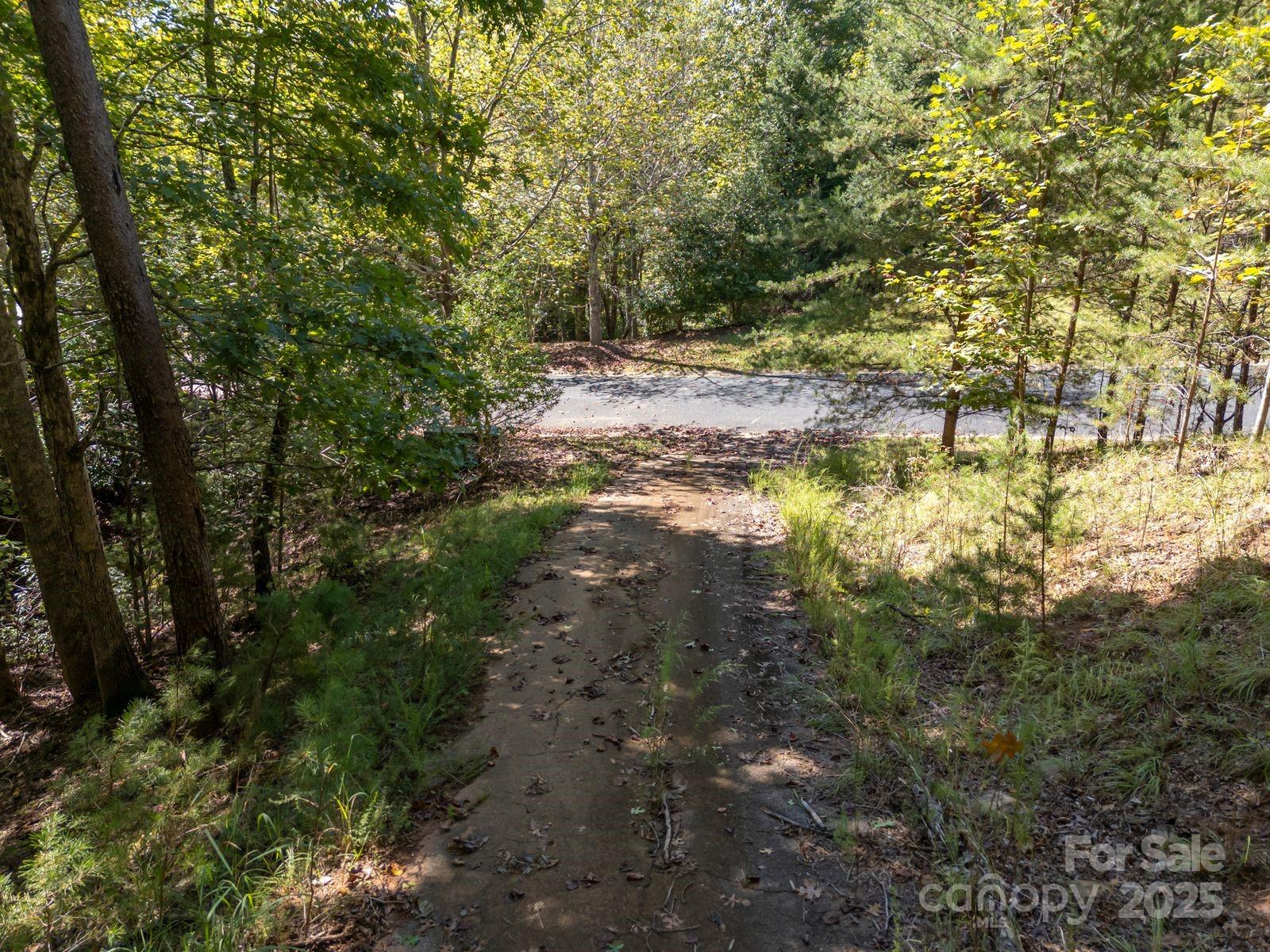 Mountain Park at Lake Adger - Land