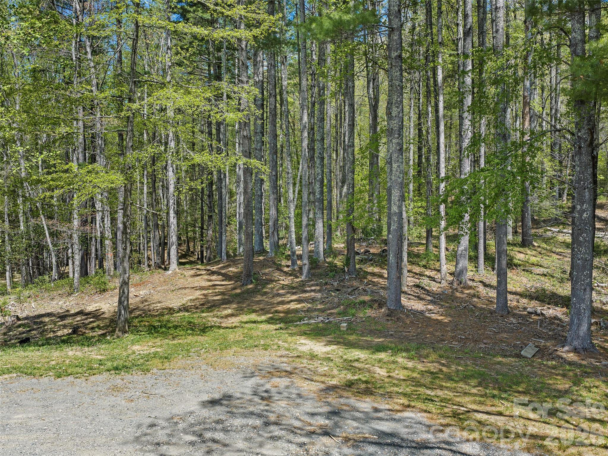 Tucked away in the beauty of the mountains, this 3-acre property offers the perfect blend of privacy and potential. Featuring a small branch flowing through the land, you’ll enjoy the peaceful sounds of nature right at your doorstep. The property is wooded, providing a serene setting with multiple ideal building spots and gently laying terrain—making it easy to bring your vision to life. Take in the mountain views and create your dream home, getaway cabin, or investment property in this scenic setting.