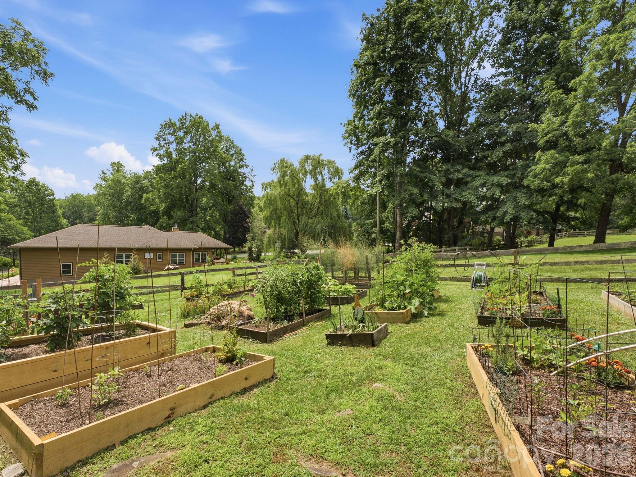 Brannon Forest - Residential