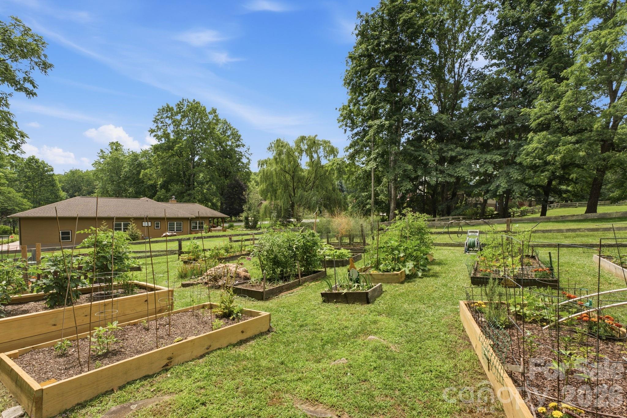 Brannon Forest - Residential