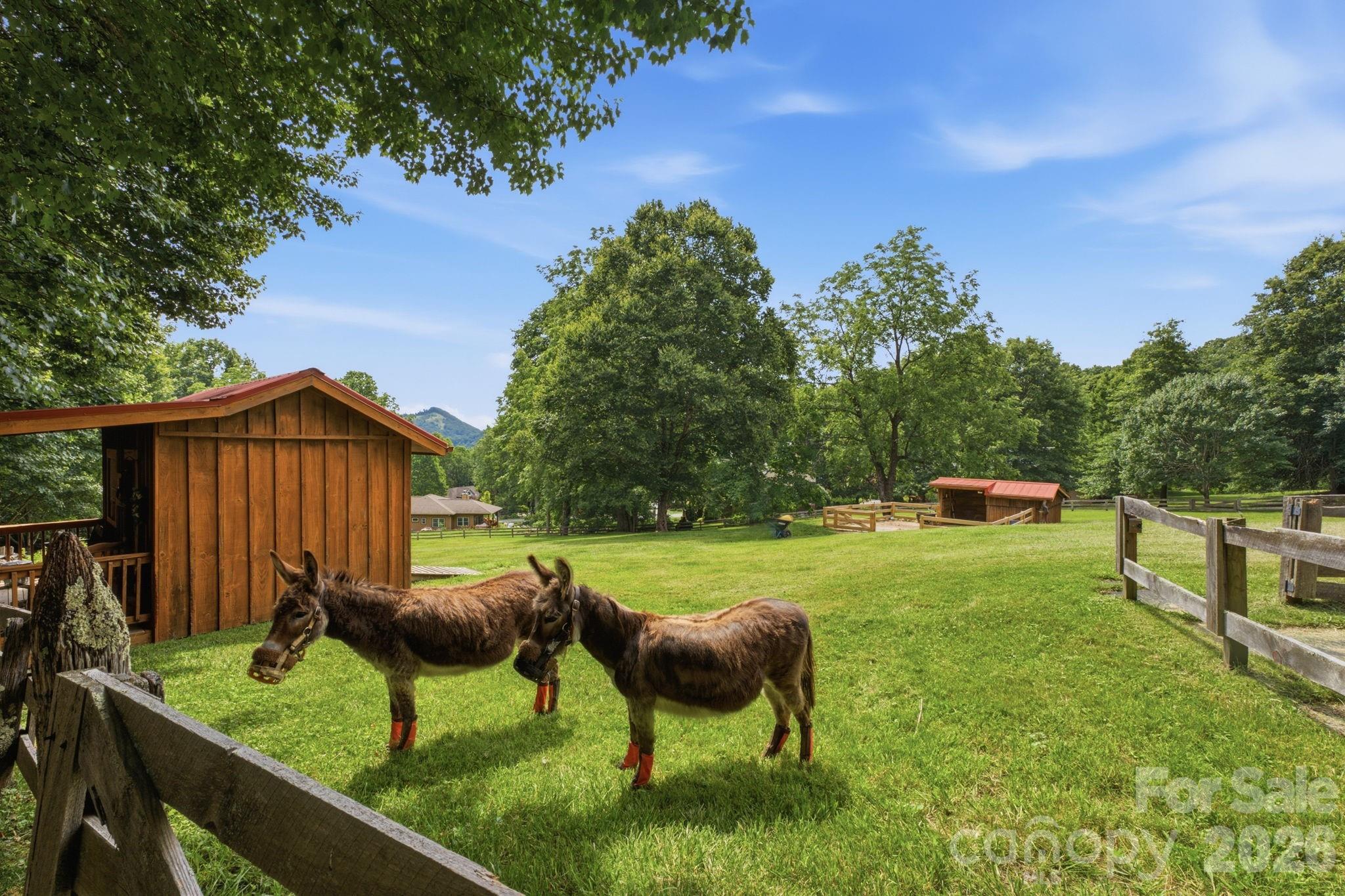 Brannon Forest - Residential