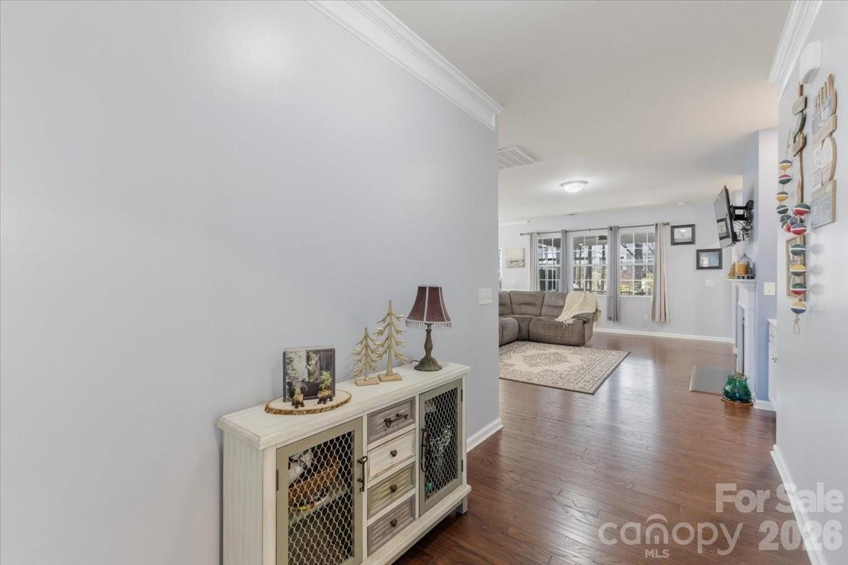 Imagery on Mtn Island - Residential