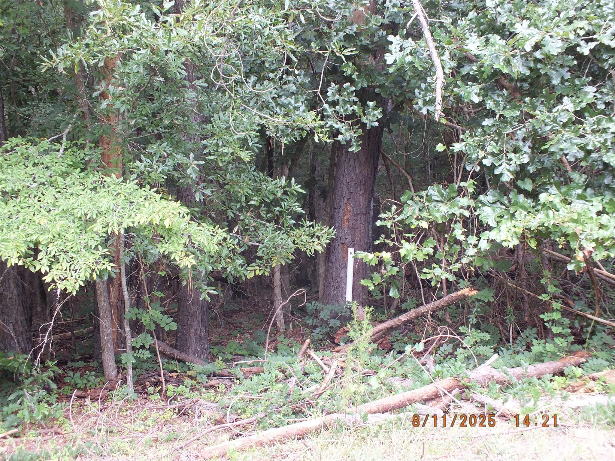 Offering a corner lot, 2.269 acres, wooded