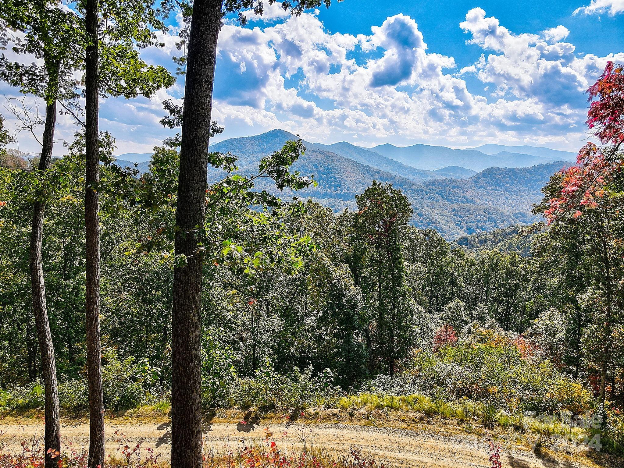 The Summit Of Asheville - Land