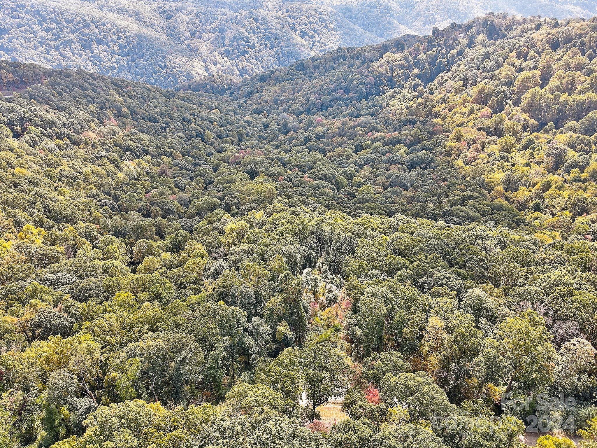 The Summit Of Asheville - Land