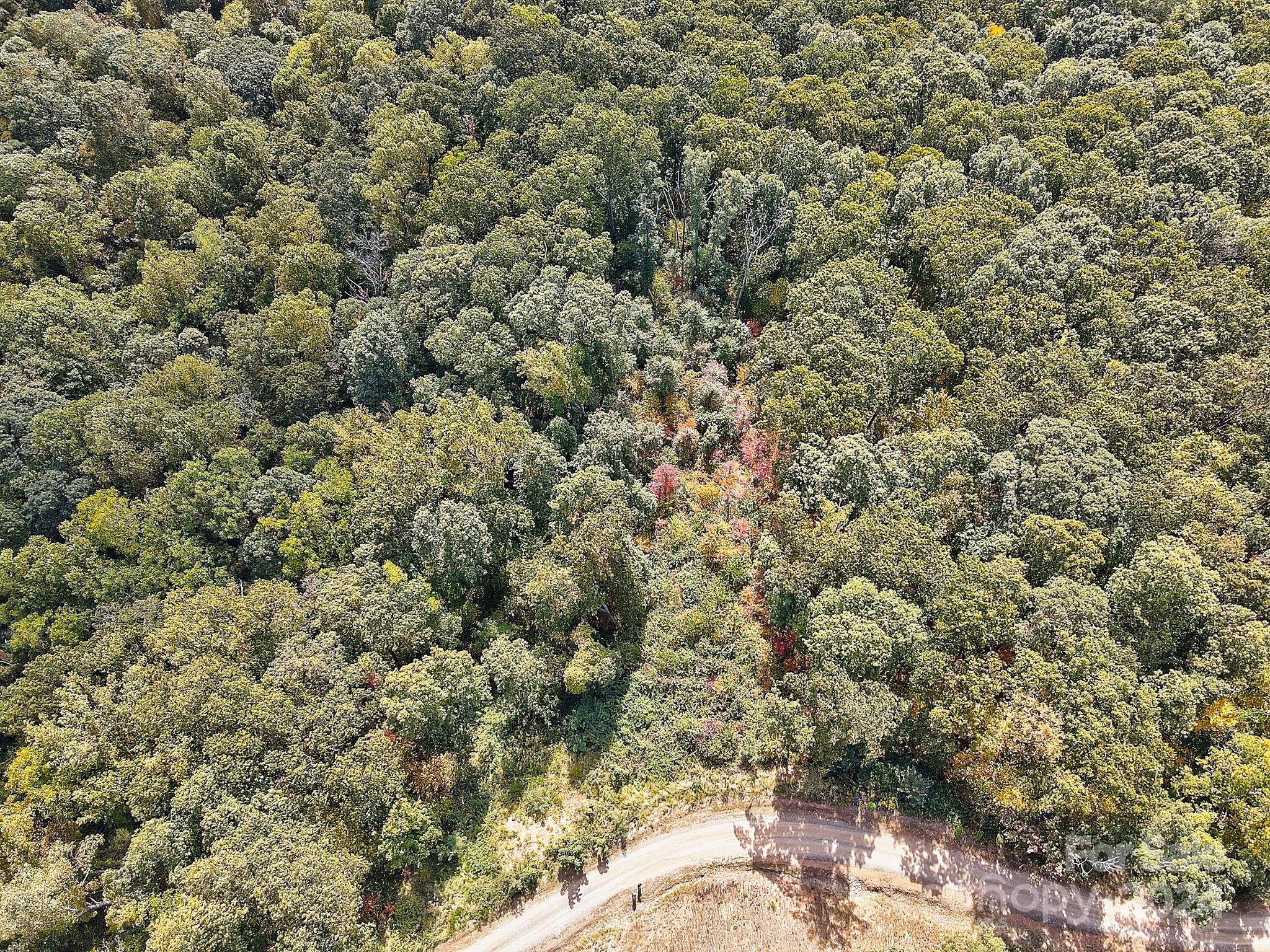 The Summit Of Asheville - Land