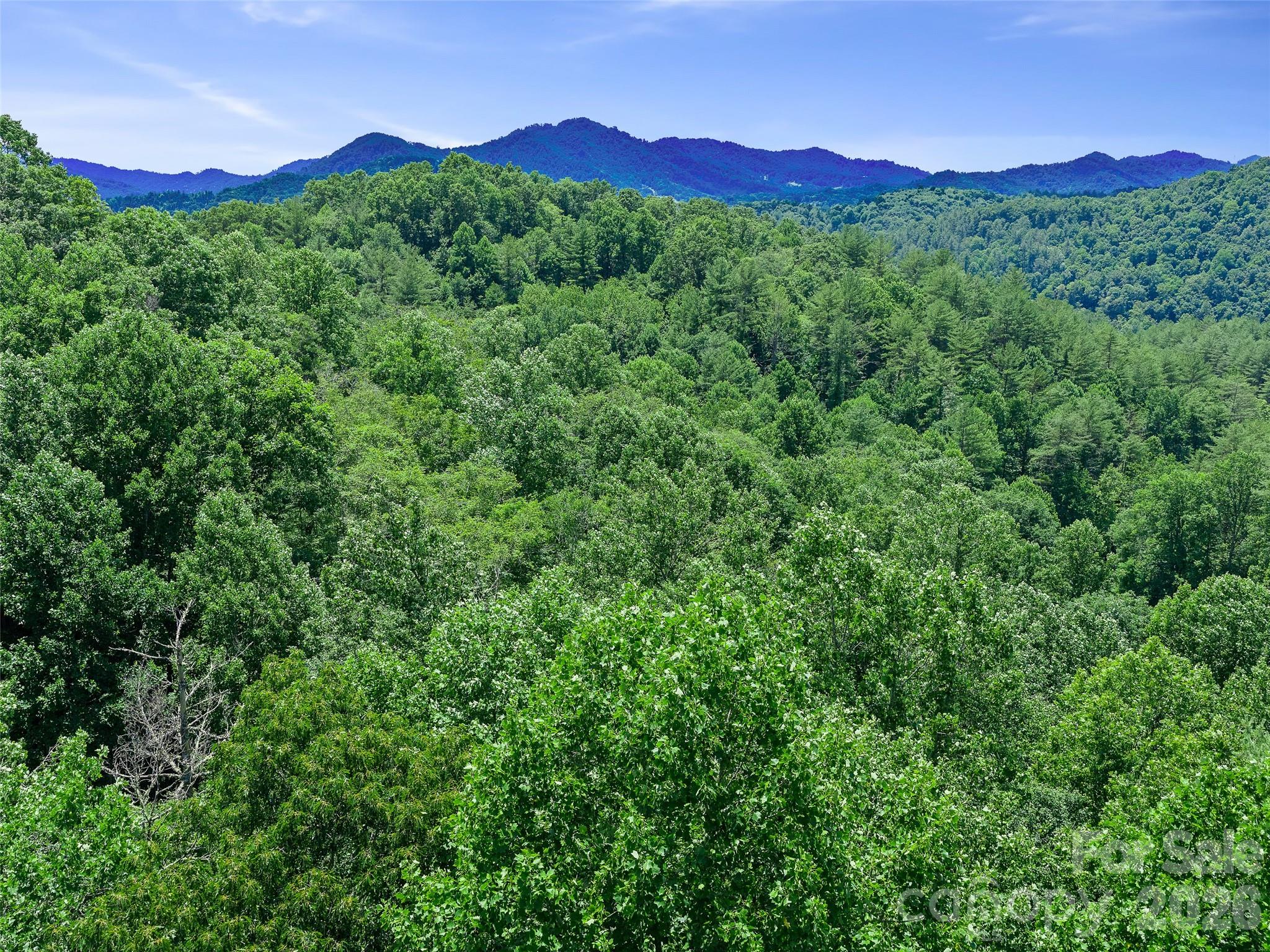 Cane River Hamlet - Land