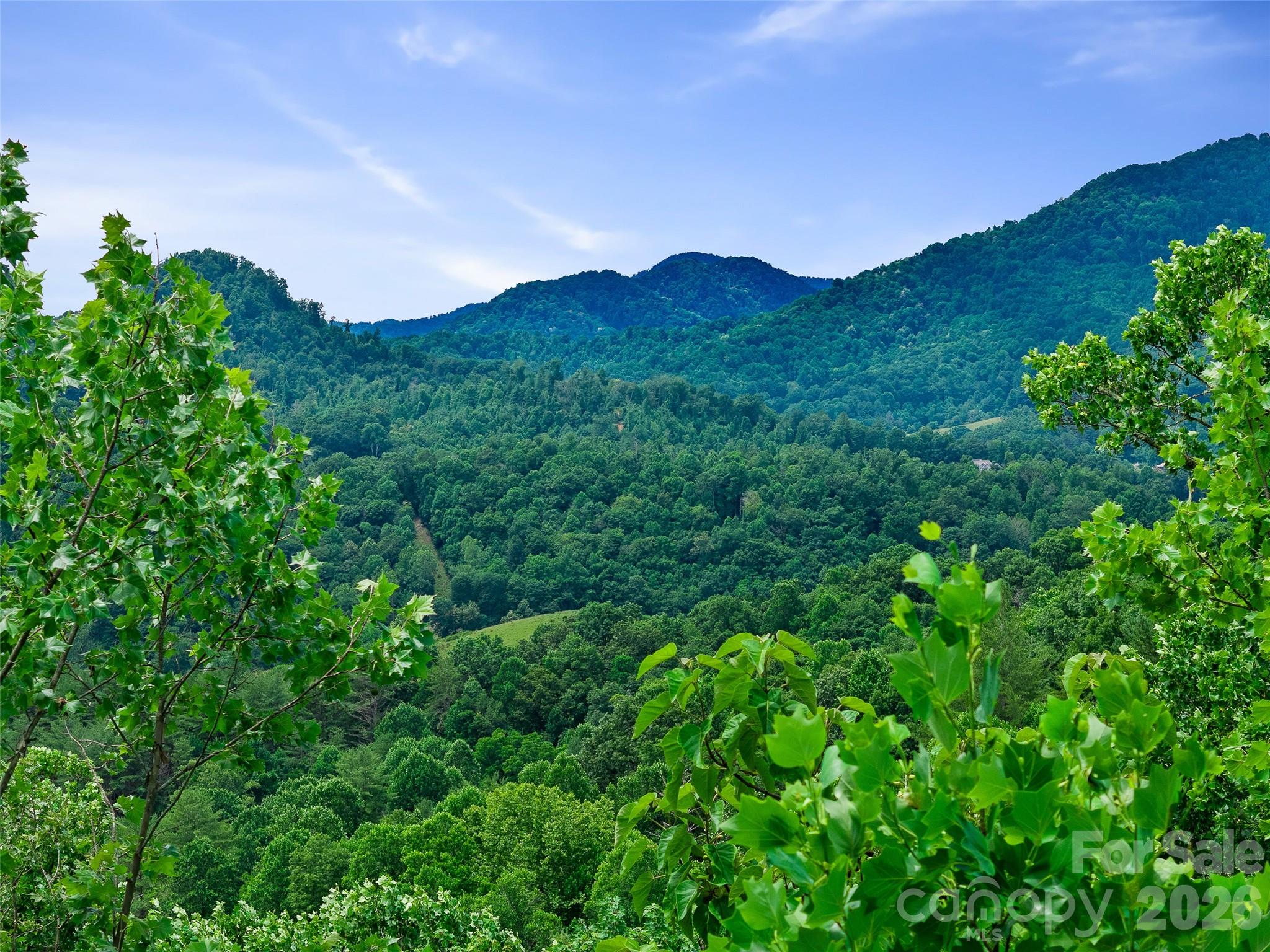 Cane River Hamlet - Land