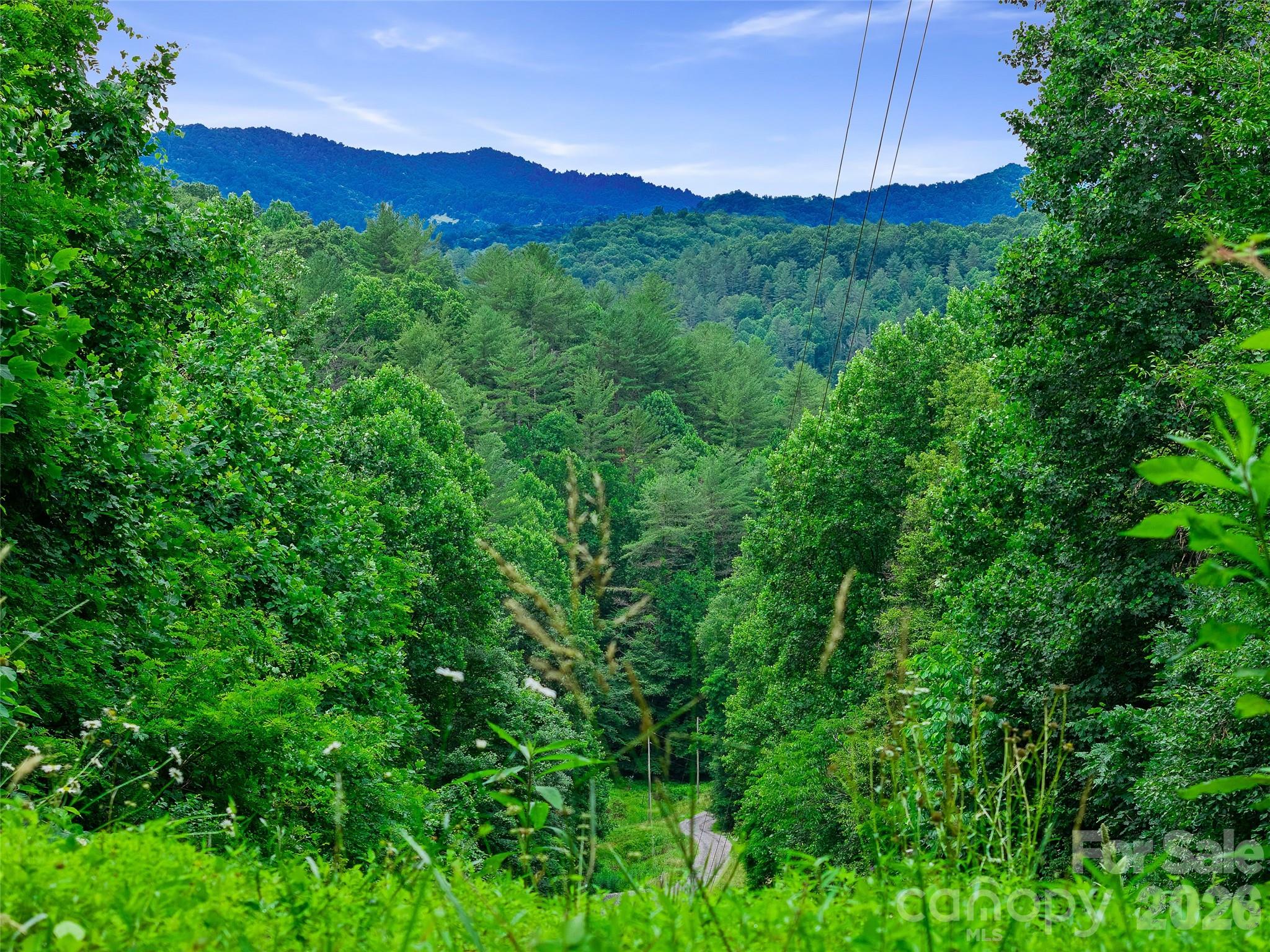 Cane River Hamlet - Land