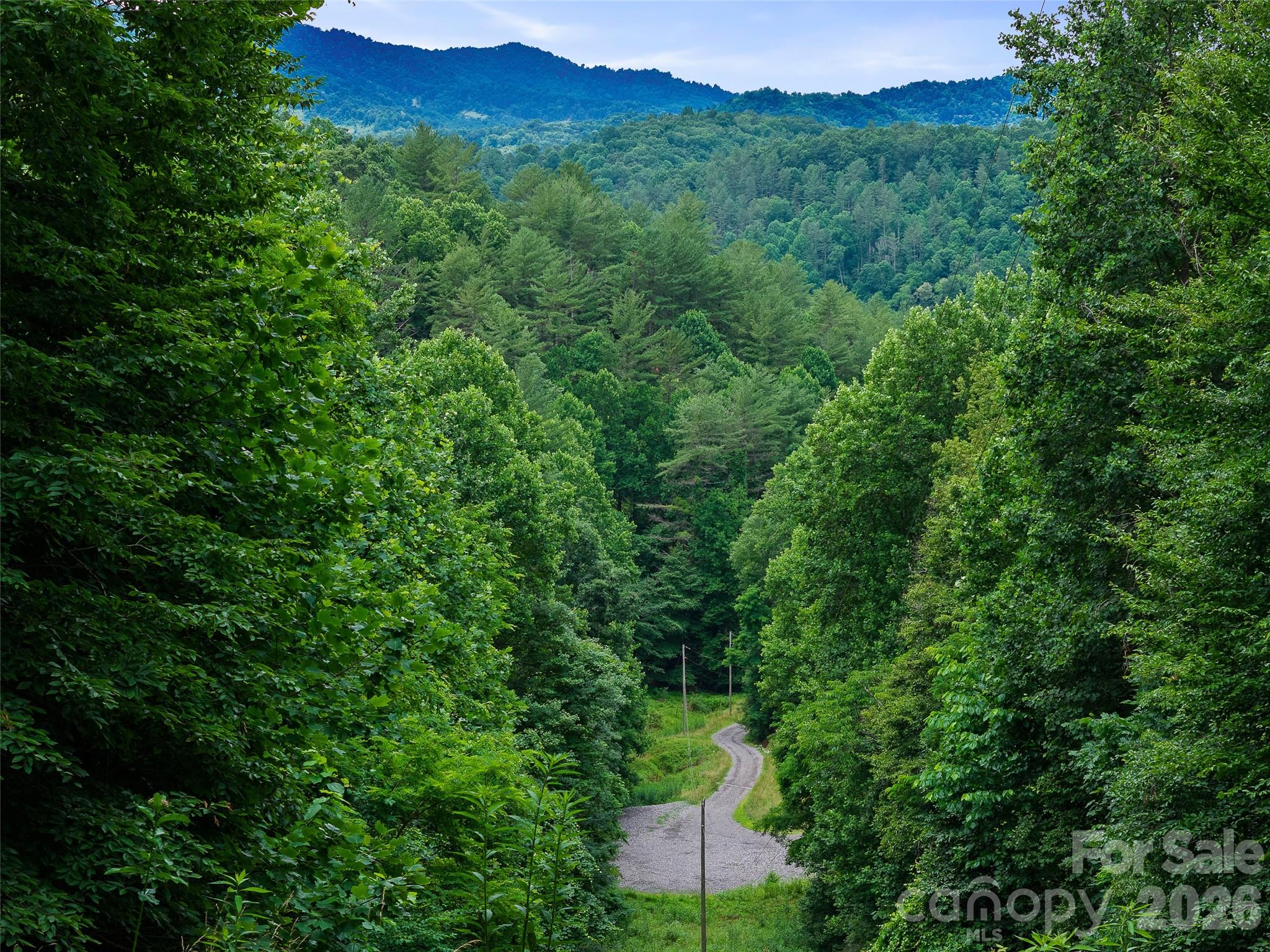 Cane River Hamlet - Land