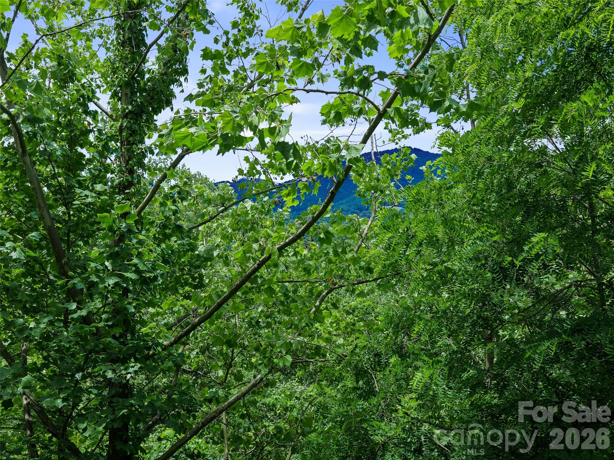 Cane River Hamlet - Land